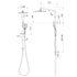 Phoenix Ormond Twin Shower